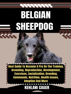 cover image of BELGIAN SHEEPDOG